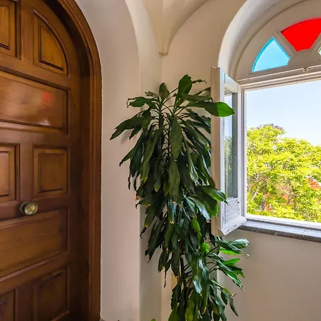 Apartment Blumarina Terrace On