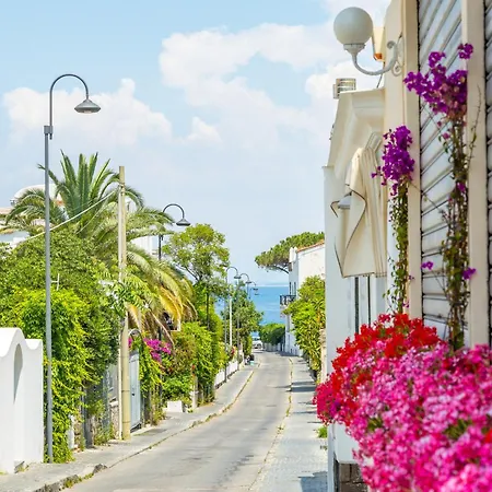 Blumarina Terrace On *